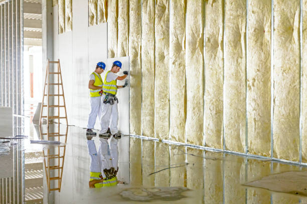 Best Insulation Inspection Services  in Crookston, MN